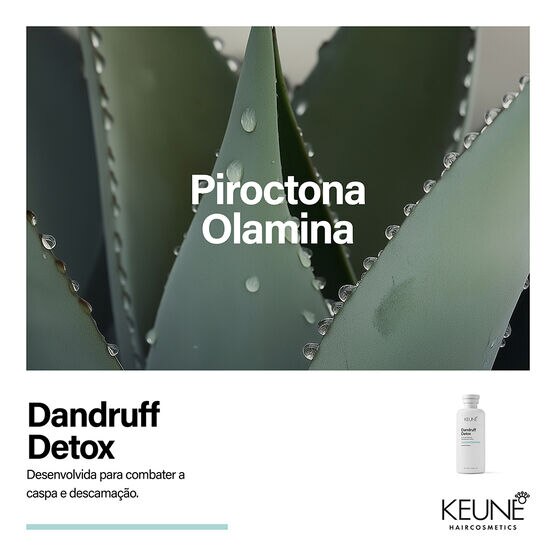 DANDRUFF DETOX DANDRUFF DETOX SHAMPOO